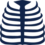 Thoracic and lumbar spine